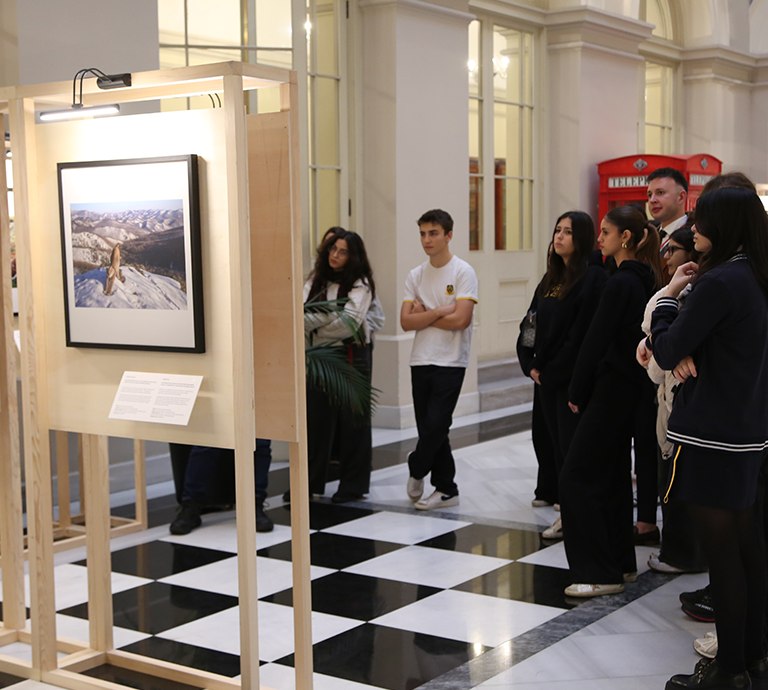 TBS students showed great interest in NHM’s award winning Wildlife Photography Exhibition